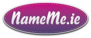 Nameme-Embroidery-Services-1-300x127-1.jpg